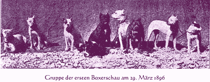 gruppe erste boxerschau1896